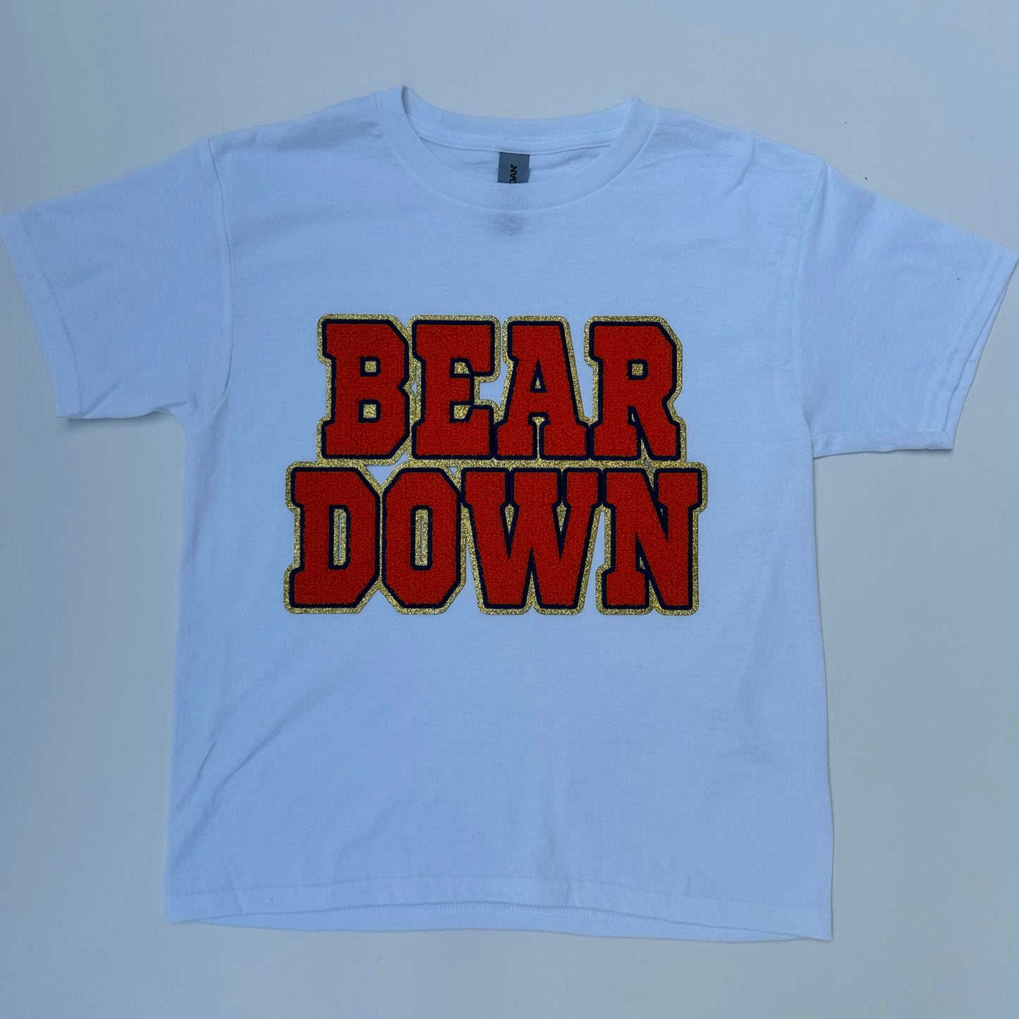 Bear Down Chenille Tee